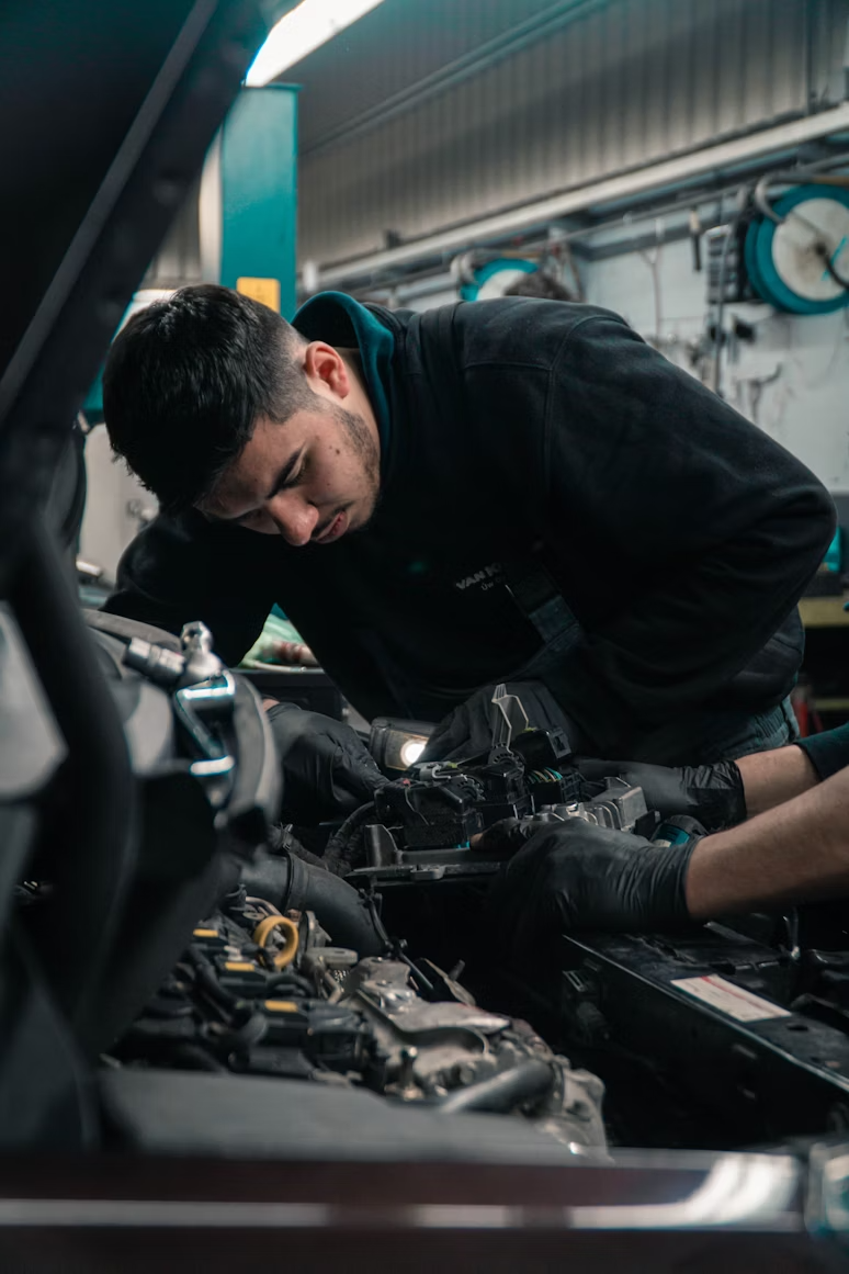 Asesoramiento técnico especializado
